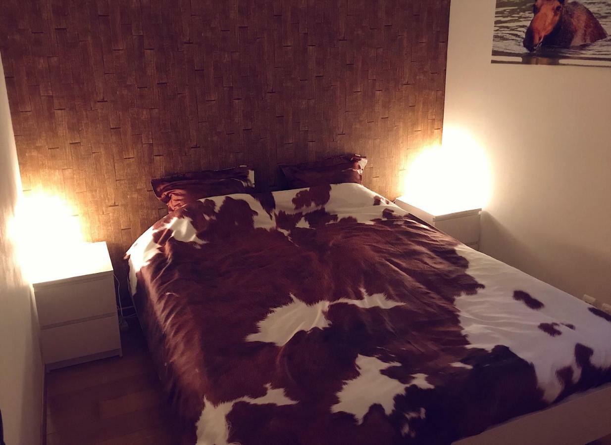 Villa Dakota - jacuzzi, zwembad, playstation Durbuy Zewnętrze zdjęcie